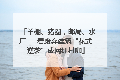 羊棚、猪圈，邮局、水厂……看废弃建筑“花式逆袭”成网红村咖