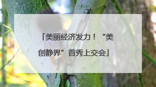 美丽经济发力！“美创静界”首秀上交会