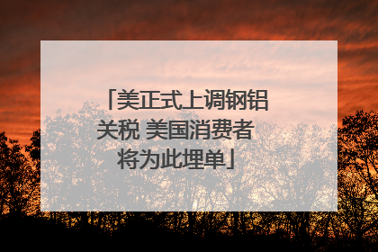 美正式上调钢铝关税 美国消费者将为此埋单