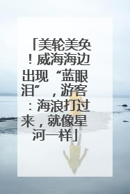 美轮美奂！威海海边出现“蓝眼泪”，游客：海浪打过来，就像星河一样