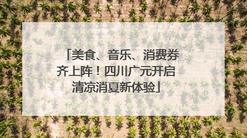 美食、音乐、消费券齐上阵！四川广元开启清凉消夏新体验