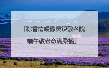 粽香情暖豫灵镇敬老院 端午敬老意满桑榆
