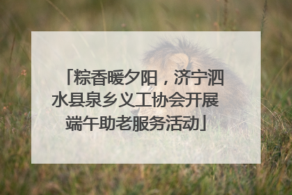 粽香暖夕阳，济宁泗水县泉乡义工协会开展端午助老服务活动