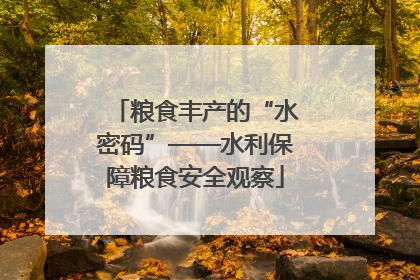 粮食丰产的“水密码”——水利保障粮食安全观察