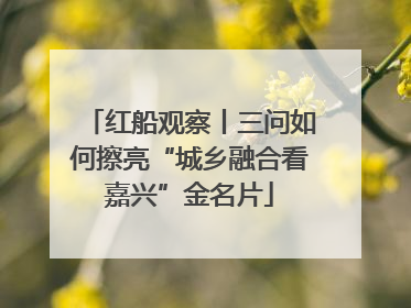 红船观察丨三问如何擦亮“城乡融合看嘉兴”金名片