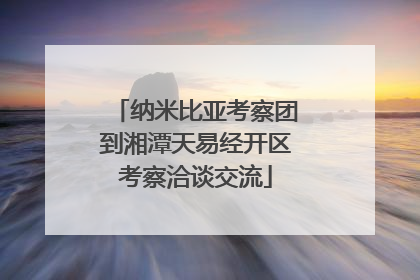 纳米比亚考察团到湘潭天易经开区考察洽谈交流