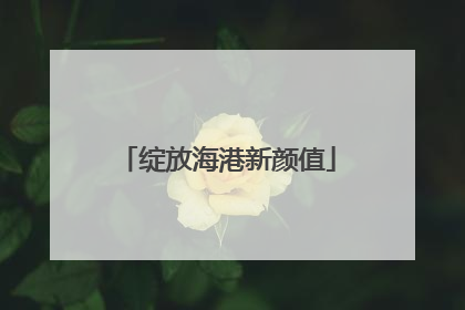 绽放海港新颜值