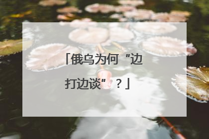 俄乌为何“边打边谈”？