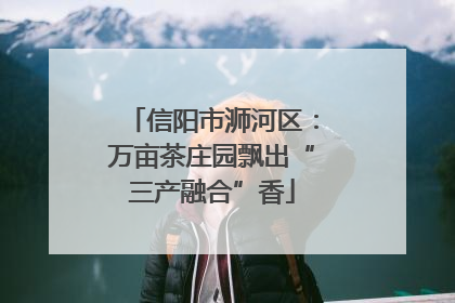 信阳市浉河区：万亩茶庄园飘出“三产融合”香