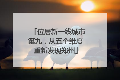 位居新一线城市第九，从五个维度重新发现郑州