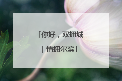 你好，双拥城｜情拥尔滨