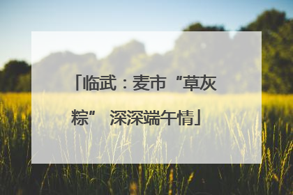 临武：麦市“草灰粽” 深深端午情