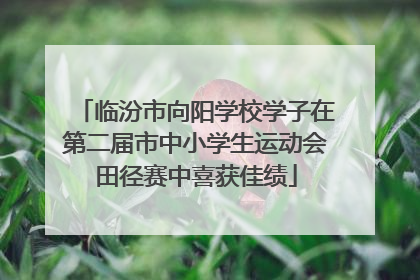 临汾市向阳学校学子在第二届市中小学生运动会田径赛中喜获佳绩