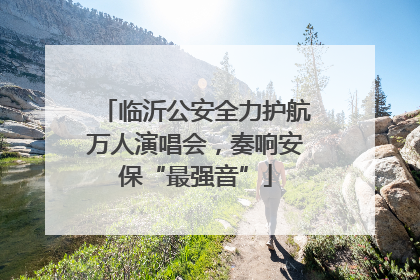 临沂公安全力护航万人演唱会，奏响安保“最强音”