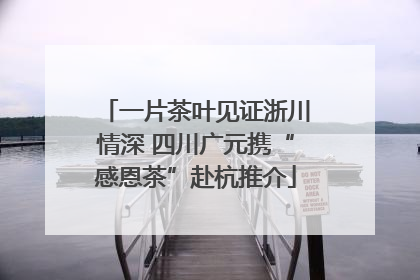 一片茶叶见证浙川情深 四川广元携“感恩茶”赴杭推介