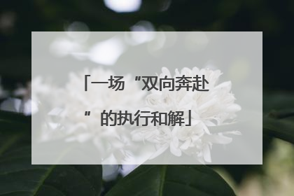 一场“双向奔赴”的执行和解