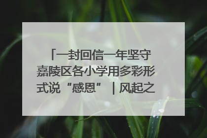 一封回信一年坚守 嘉陵区各小学用多彩形式说“感恩”｜风起之江 扶摇直上