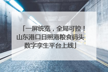 一屏统览，全局可控！山东港口日照港粮食码头数字孪生平台上线