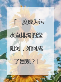 一度成为污水直排沟的滏阳河，如何成了景观？