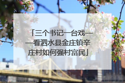 三个书记一台戏——看泗水县金庄镇辛庄村如何强村富民