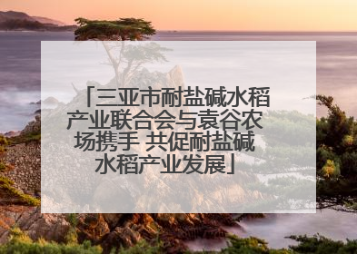 三亚市耐盐碱水稻产业联合会与袁谷农场携手 共促耐盐碱水稻产业发展