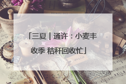 三夏｜通许：小麦丰收季 秸秆回收忙