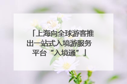 上海向全球游客推出一站式入境游服务平台“入境通”