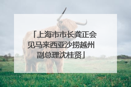 上海市市长龚正会见马来西亚沙捞越州副总理沈桂贤
