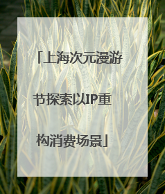 上海次元漫游节探索以IP重构消费场景