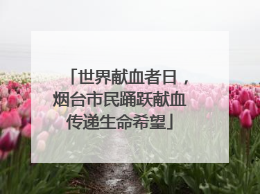 世界献血者日，烟台市民踊跃献血传递生命希望