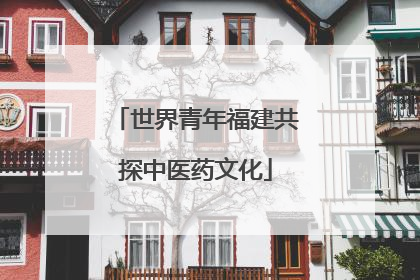 世界青年福建共探中医药文化