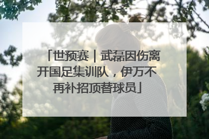 世预赛｜武磊因伤离开国足集训队，伊万不再补招顶替球员
