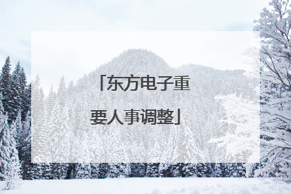 东方电子重要人事调整