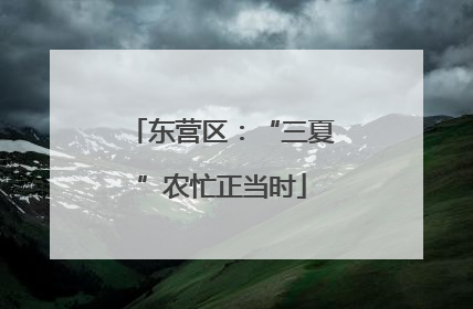 东营区：“三夏”农忙正当时