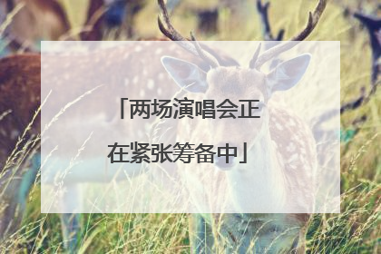 两场演唱会正在紧张筹备中