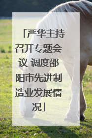 严华主持召开专题会议 调度邵阳市先进制造业发展情况