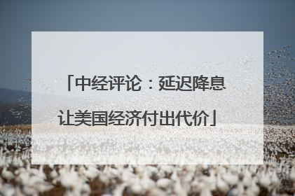 中经评论：延迟降息让美国经济付出代价