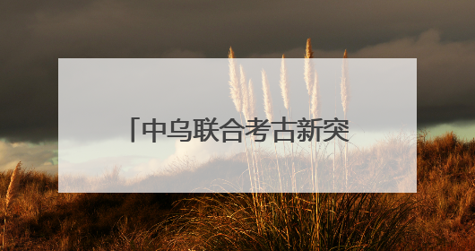 中乌联合考古新突破！班迪汉2号遗址揭示中亚南部早期铁器时代城邦文明