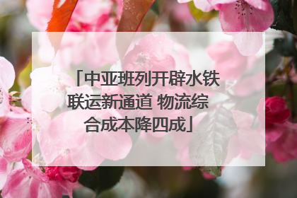 中亚班列开辟水铁联运新通道 物流综合成本降四成