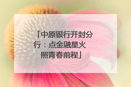 中原银行开封分行：点金融星火 照青春前程