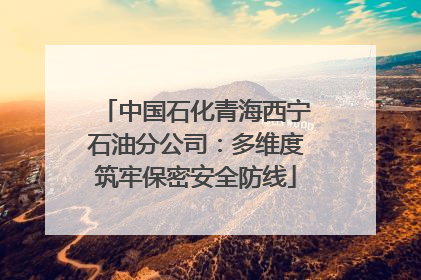 中国石化青海西宁石油分公司：多维度筑牢保密安全防线