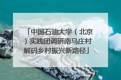 中国石油大学（北京）实践团调研南马庄村解码乡村振兴新路径