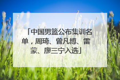中国男篮公布集训名单，周琦、曾凡博、雷蒙、廖三宁入选