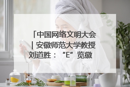 中国网络文明大会｜安徽师范大学教授刘道胜：“E”览徽风，构筑中华民族共有精神家园