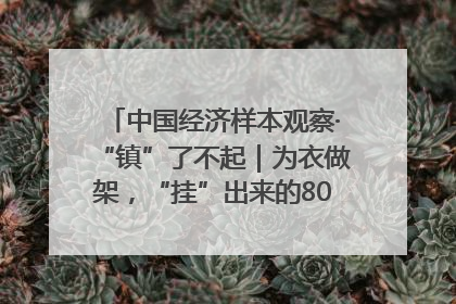 中国经济样本观察·“镇”了不起｜为衣做架，“挂”出来的80亿元“衣架产业”