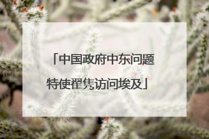中国政府中东问题特使翟隽访问埃及