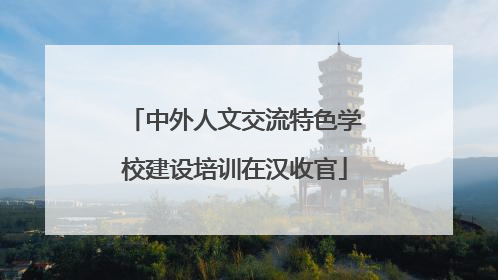 中外人文交流特色学校建设培训在汉收官