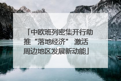 中欧班列密集开行助推“落地经济” 激活周边地区发展新动能