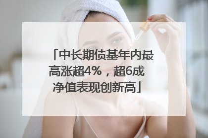 中长期债基年内最高涨超4%，超6成净值表现创新高
