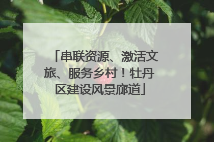 串联资源、激活文旅、服务乡村！牡丹区建设风景廊道